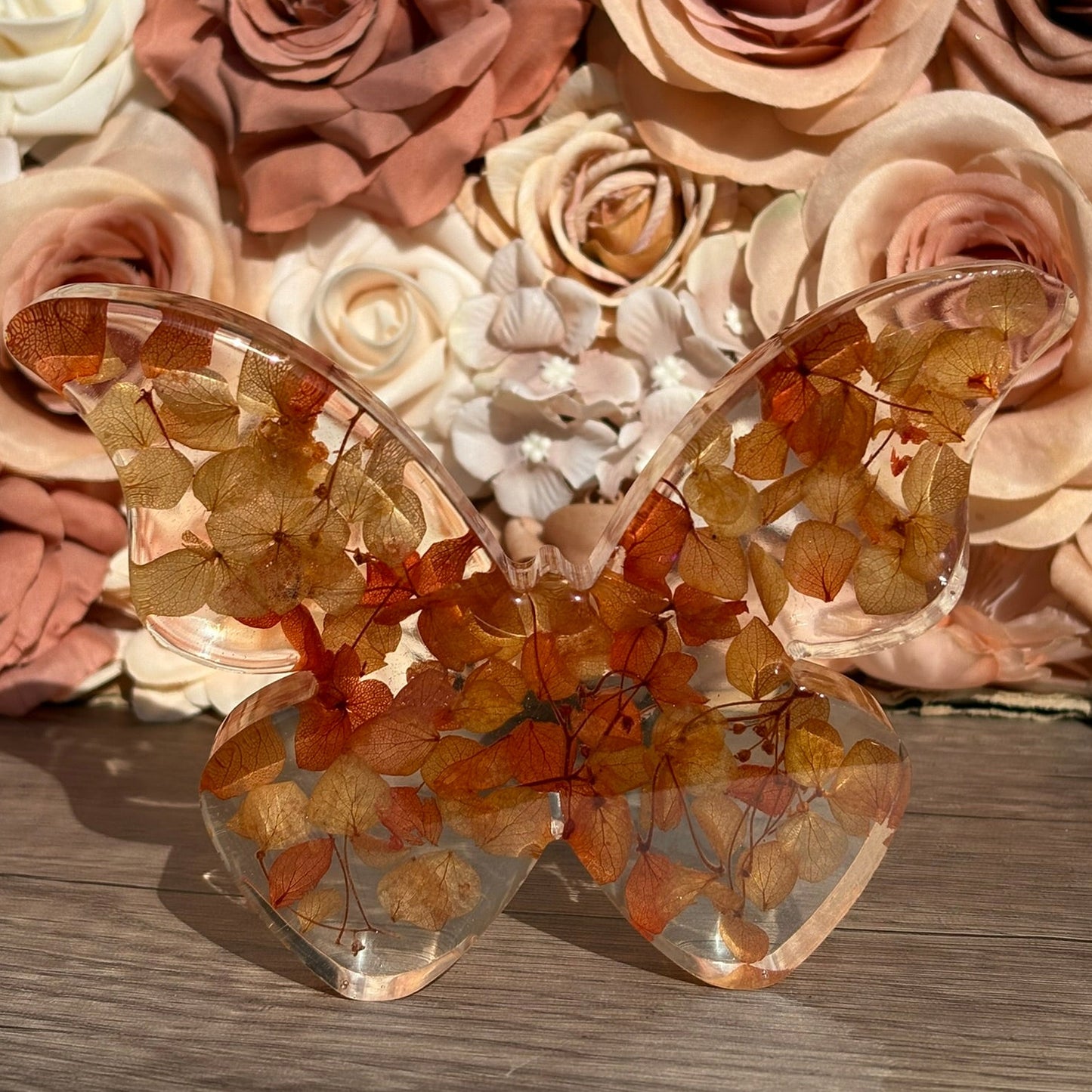 Schmetterlings Figuren in verschiedenen Designs