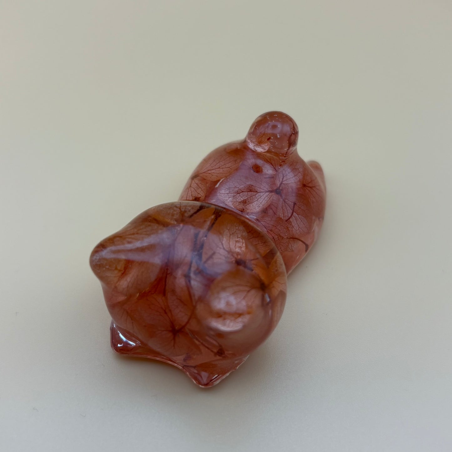 Magnet "Katze" versch. Designs