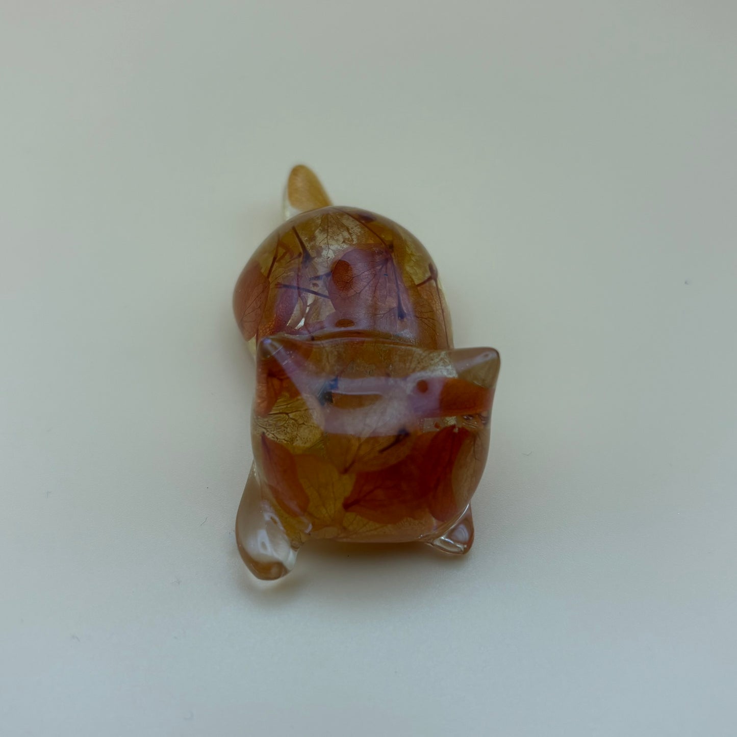 Magnet "Katze" versch. Designs