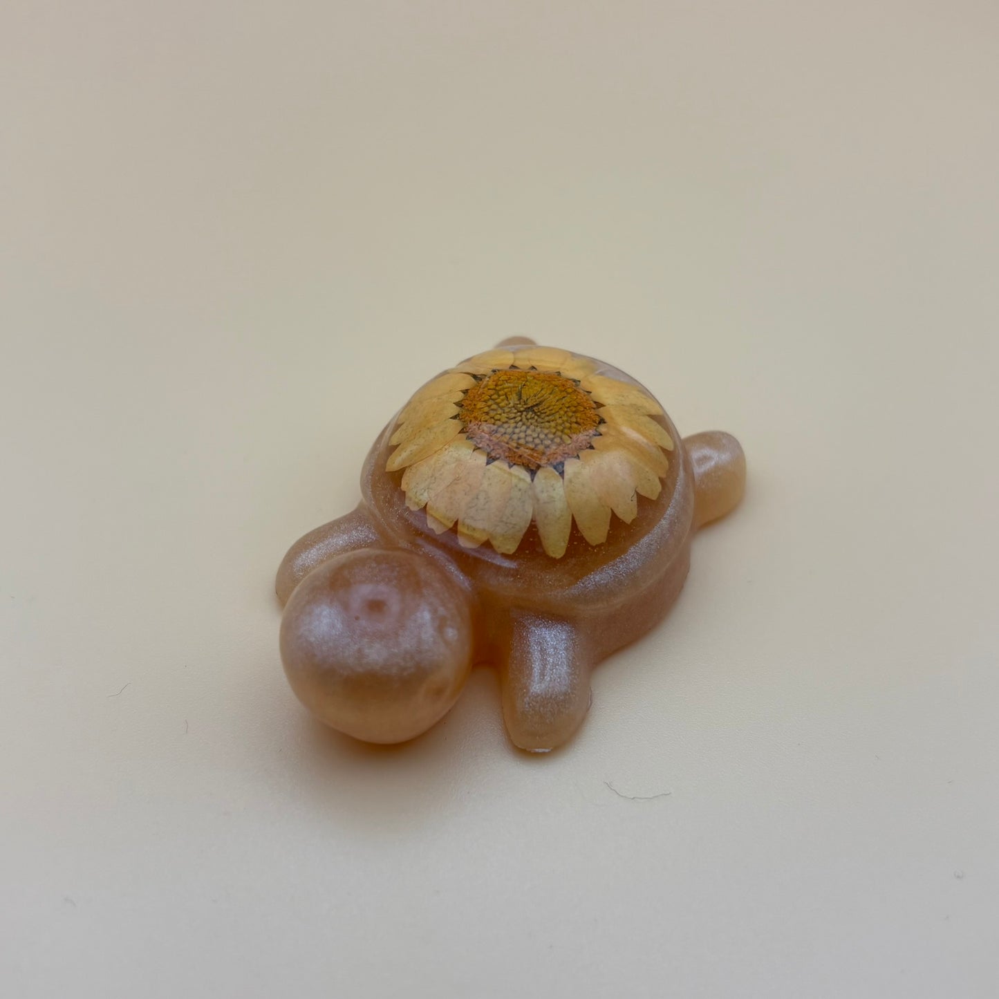 Magnet "Schildkröte" versch. Designs