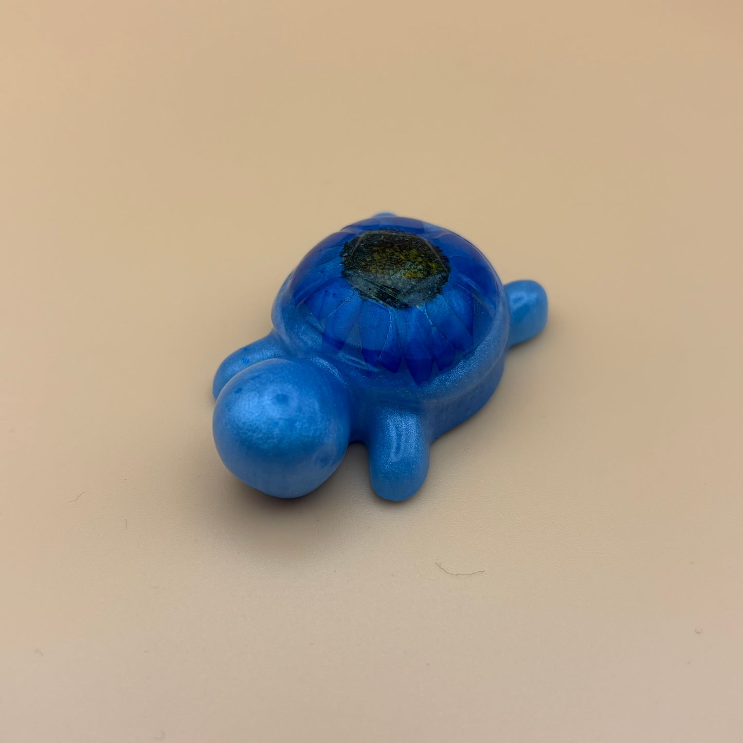 Magnet "Schildkröte" versch. Designs