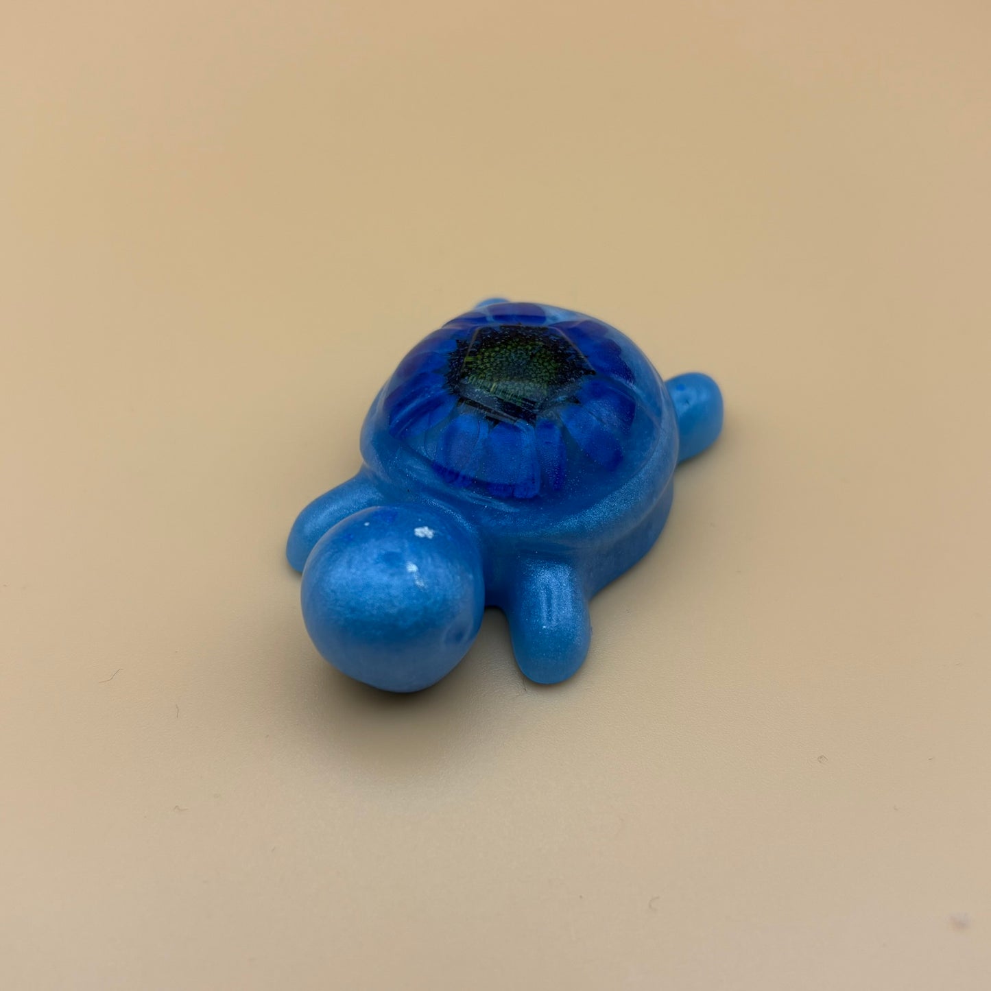 Magnet "Schildkröte" versch. Designs