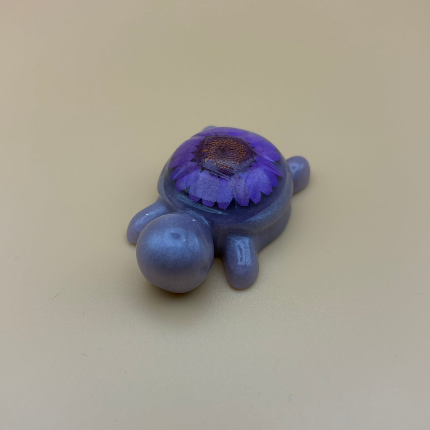 Magnet "Schildkröte" versch. Designs