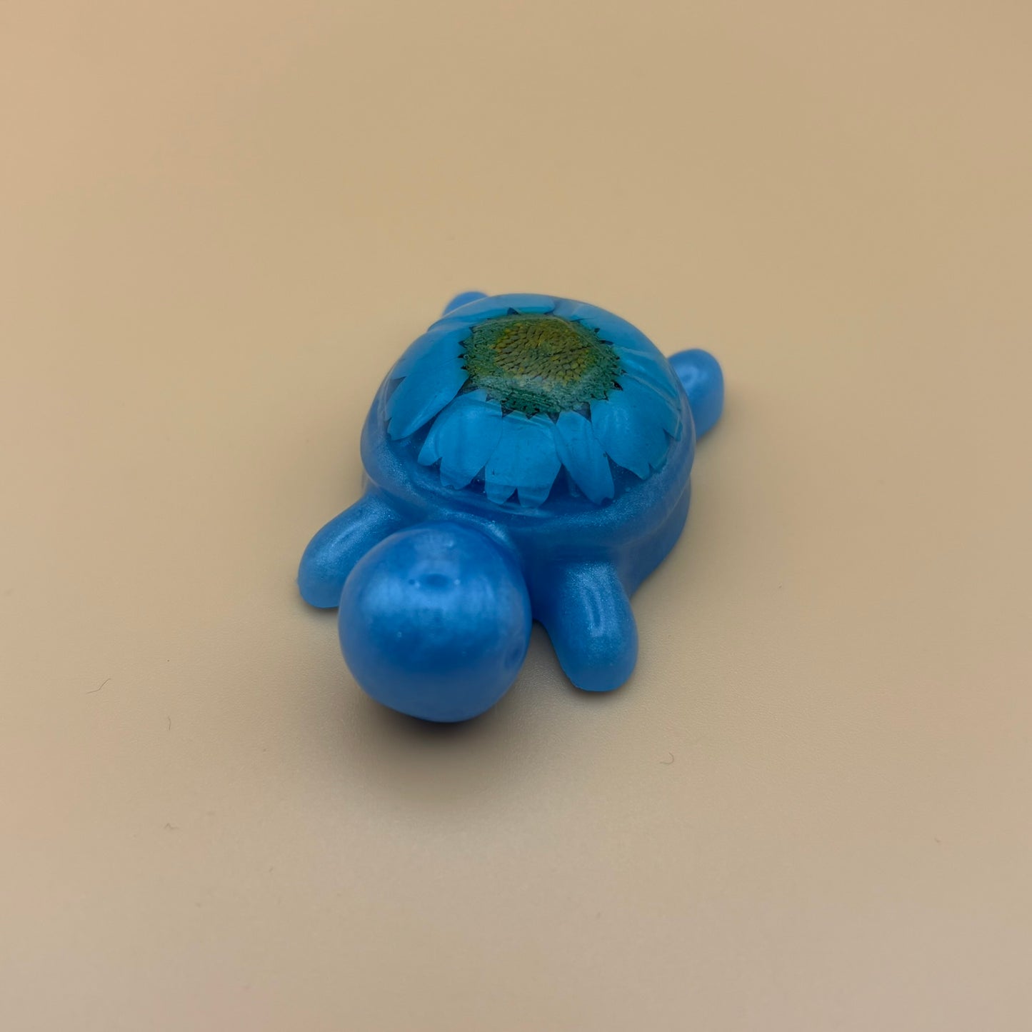 Magnet "Schildkröte" versch. Designs