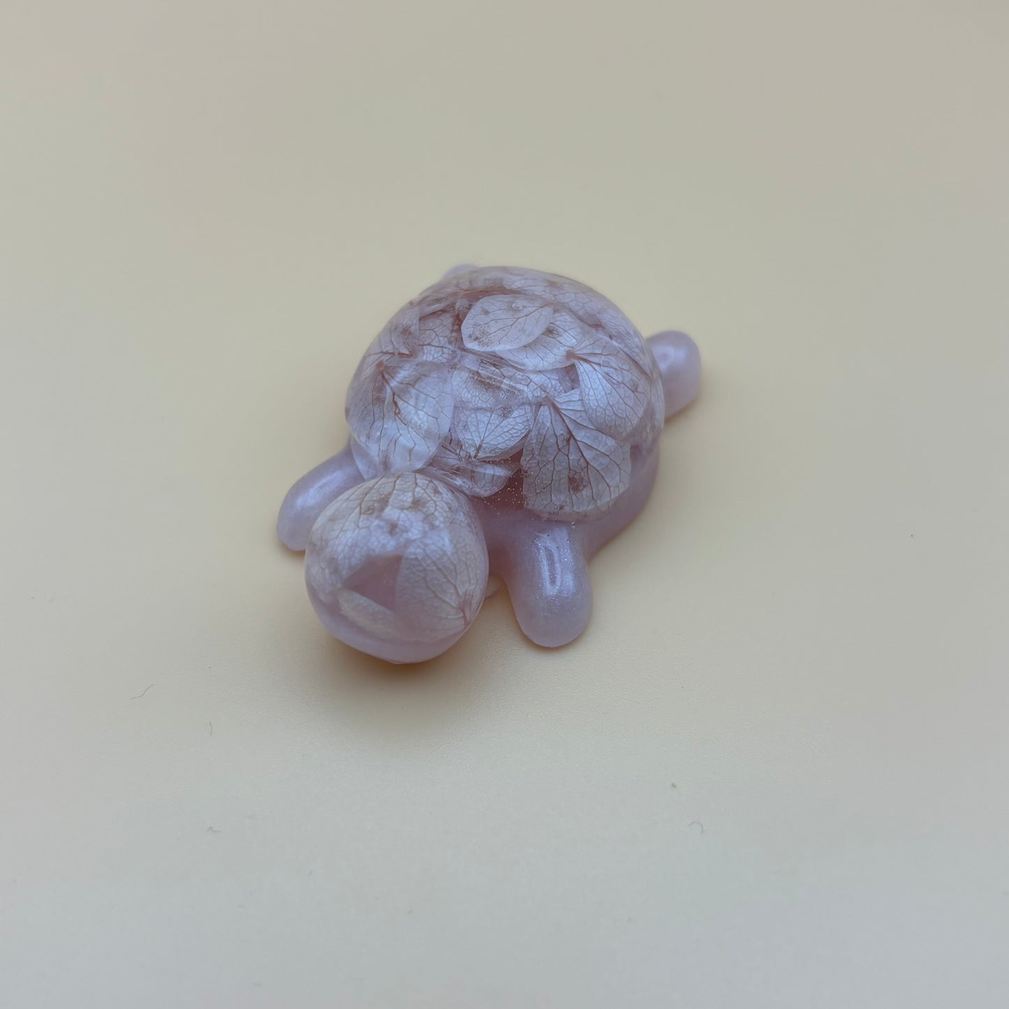 Magnet "Schildkröte" versch. Designs