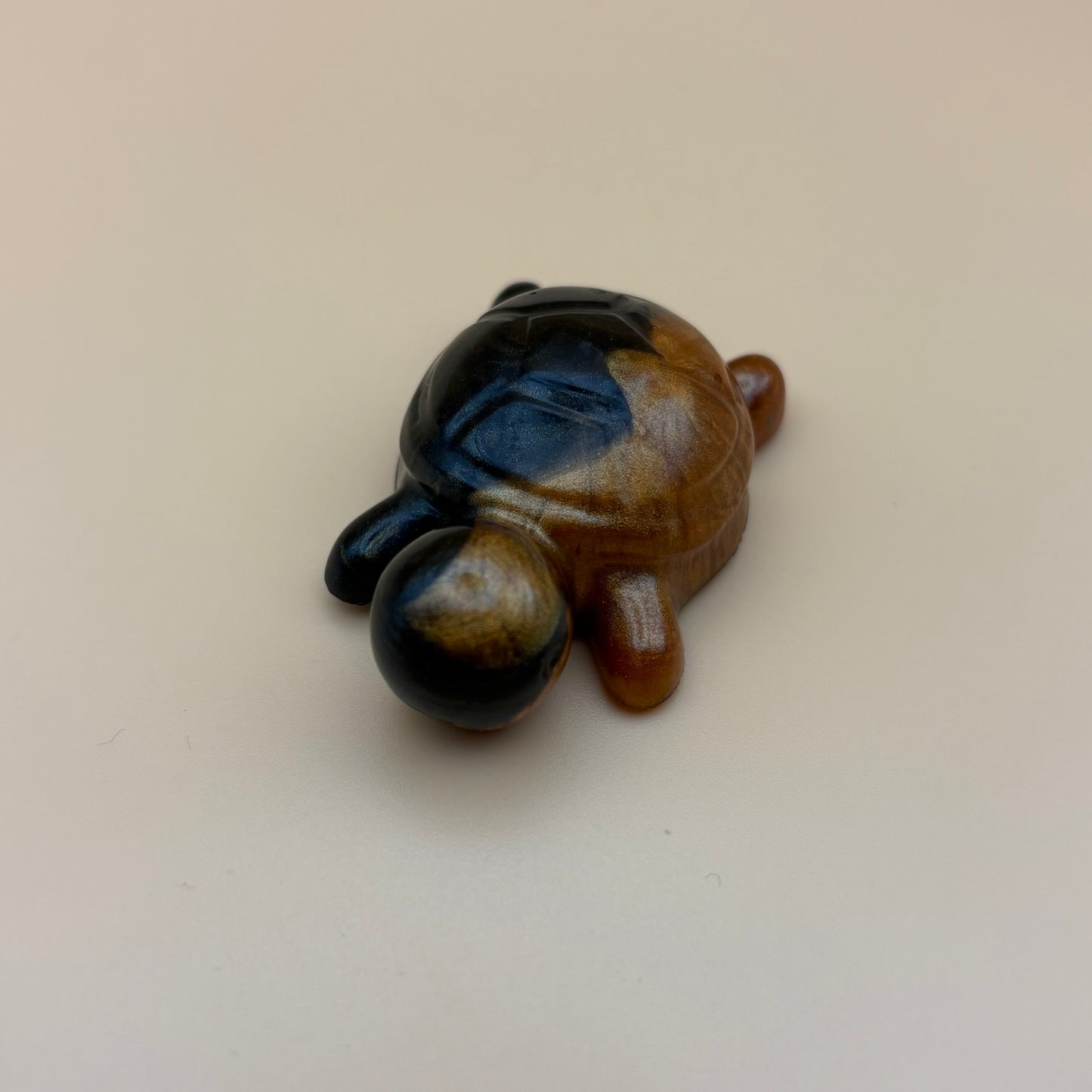 Magnet "Schildkröte" versch. Designs